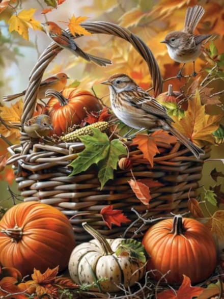 Diamond painting Mand vogels pompoen 30x40cm vierkante steentjes