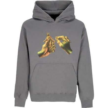 Dominet Hoodie Grijze Herenhoodie