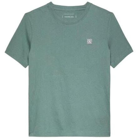 T-shirt Korte Mouw Calvin Klein Jeans IU0IU00543
