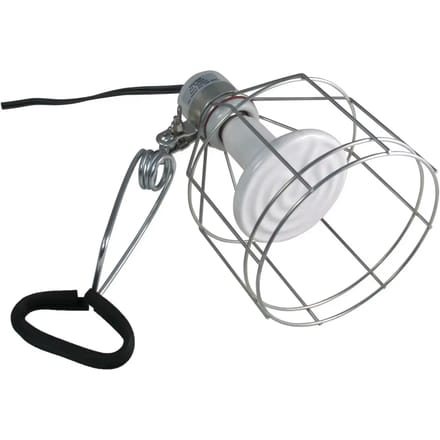 Lamphouder met klem Zoomed LF10E