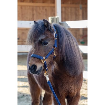 Halster voor paarden Covalliero TopLine
