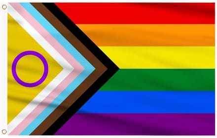 Progress Pride Vlag 1.5m x 90cm Dubbelzijdig met Koperen Oogjes voor Pride Evenementen