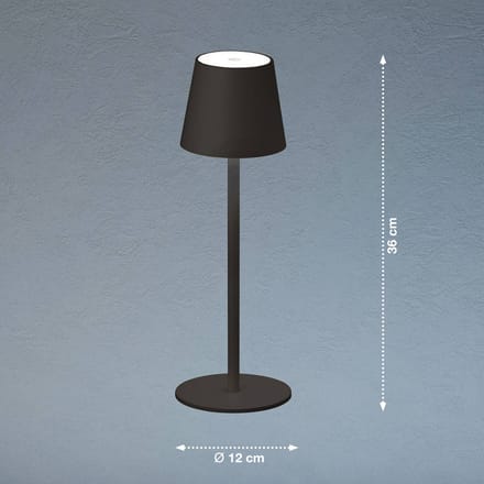 FH Lighting LED tafellamp Tropea met accu, zandzwart