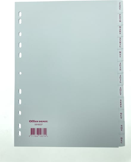 Office Depot tabbladen wit A4 11-gaten Jan-Dec (Franstalig)
