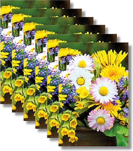 6x dubbele wenskaart met envelop - Blanco - Bloemen - 11,5 x 17 cm