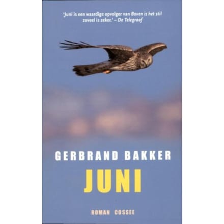 Juni - Gerbrand Bakker