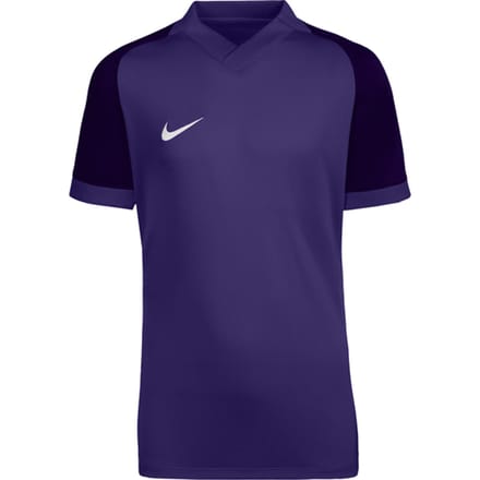 Nike T-shirt Kinderen Dri-FIT Trophy VI Paars - Maat S