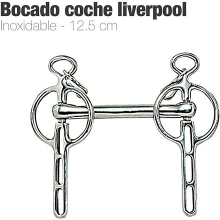 Liverpool bustrens voor paard Zaldi 212559