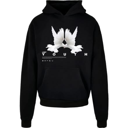 Hoodie Lost Youth Dove