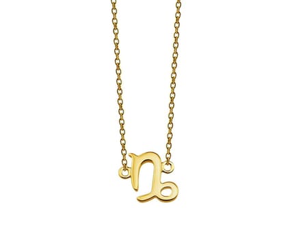 Steenbok Ketting Gold-Plated Zodiac ZN001G