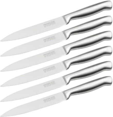 Set van 6 universele keukenmessen 24 cm volledig Nirosta Star