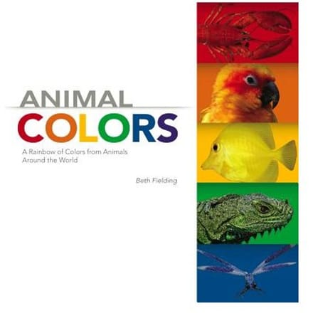Animal Colors - BETH FIELDING
