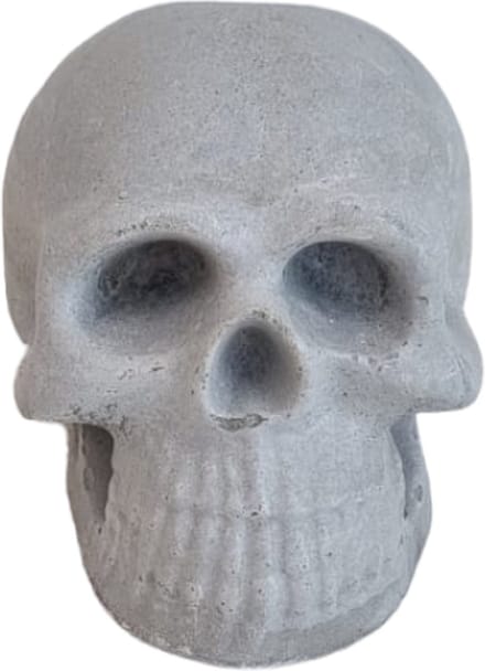 MGM - Betonnen Schedel - Decoratie - Skull - Cement - Onbewerkt - 8 Cm Hoog - 1 Stuk