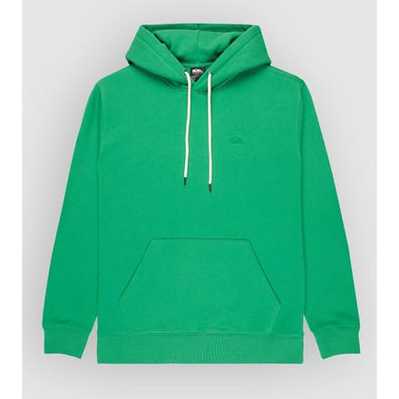 Quiksilver Salt Water Hoodie Groen S Man