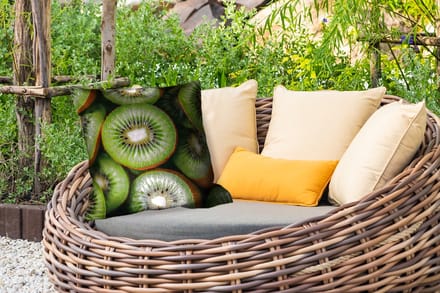 Buitenkussen Weerbestendig - Kiwi - Fruit - Groen - 50x50 cm