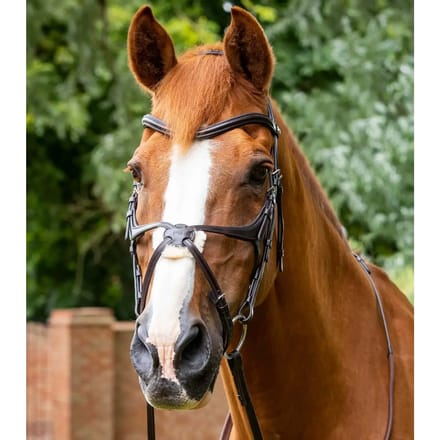Snaffle bridle Premier Equine Glorioso