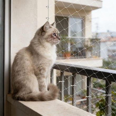 Kattennet Balkon - Veiligheidsnet Huisdier - Voorkomt Ontsnapping - Scheurvast Nylon - 10 x 3 Meter - Wit