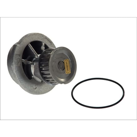 Waterpomp HEPU P317
