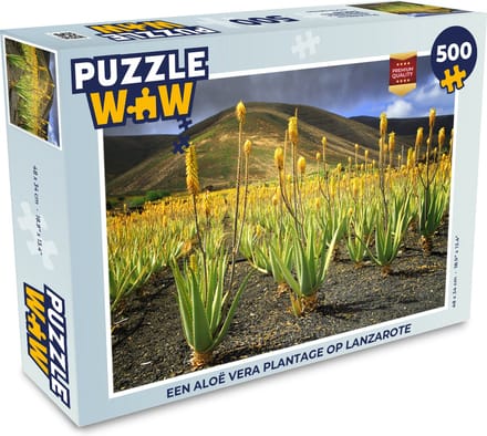 Puzzel Een Aloë Vera plantage op Lanzarote - Legpuzzel - Puzzel 500 stukjes