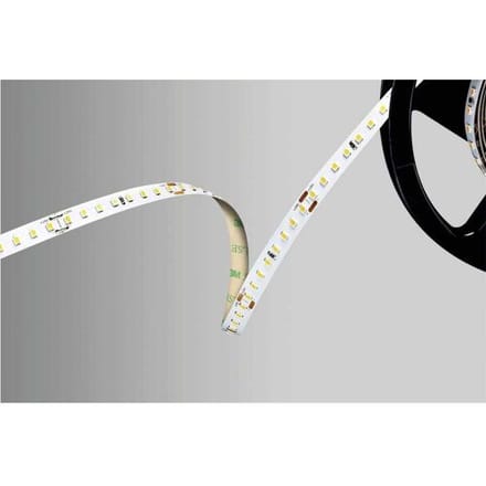 Barthelme 51542233 LED-strip 24 V 5000 mm Wit 5 m