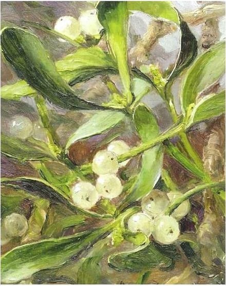 Cadeaukaart Maretak 7,5x9,5cm