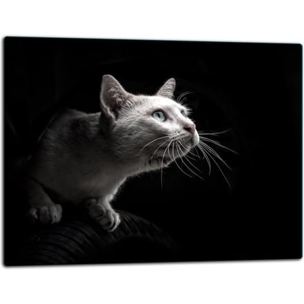 TMK ArtDeko - Glas Snijplank - 52x40 cm - Beschermend Beeld
