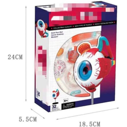 4D Master Puzzel Menselijk Lichaam Orgaan Anatomisch Model Bouwspeelgoed Medisch Lesmodel Biologische Educatieve Speelgoed