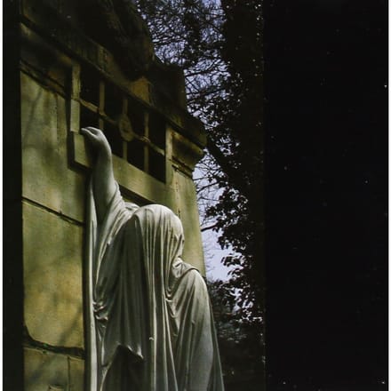 Within The Realm Of A Dying Sun (LP)