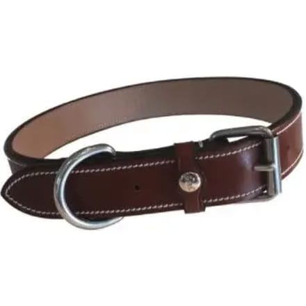 Hondenhalsband Silver Crown Karl