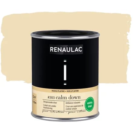 Renaulac Intention Muurverf - Extra Mat - Calm Down - 125ml