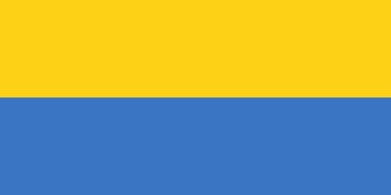 Vlag Gabon 70x100cm