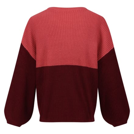 Regatta Dames/Dames Kamaria Gebreide Trui (Mineraal Rood/Cabernet)