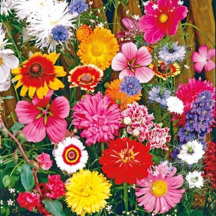 Bloemen mix zaden - Snijbloemenmix