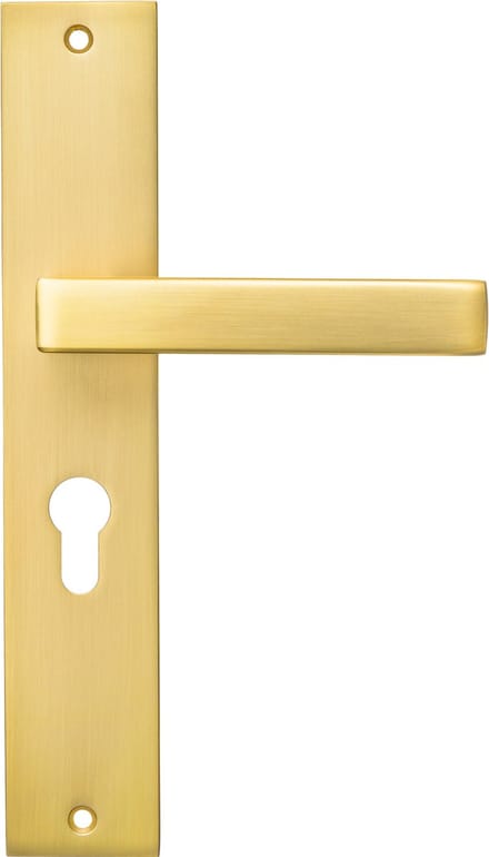 Ostiumhome® Alassio Deurklink op schild met cilindergat - Deurbeslag - 55 mm - Mat goud