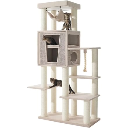 Kattenboom Nobby Pet Kasil