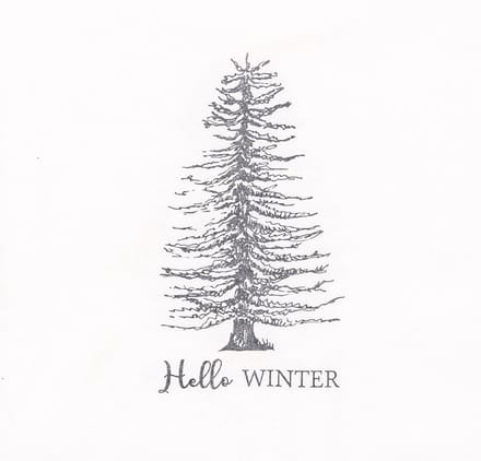 Clayre & Eef Servetten Papier Set van 20 33x33 cm Wit Papier Winter