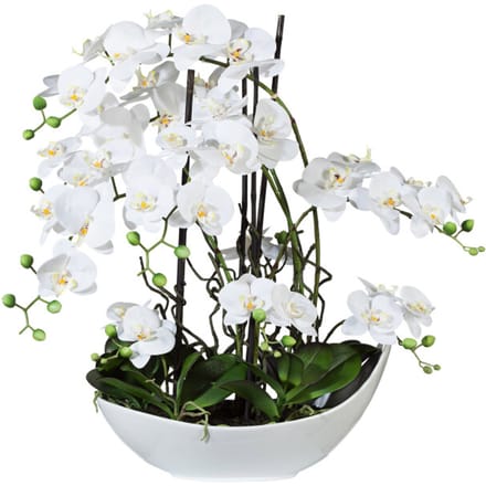 Kopu® Kunstbloem Volle Orchidee 68 cm Wit met Schaal - Phalenopsis