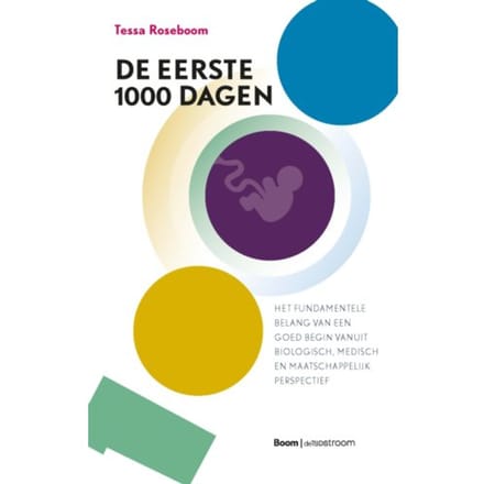 De Eerste 1000 Dagen - Tessa Roseboom