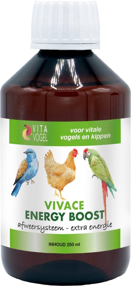 Vita Vogel Vivace Energy Boost - Vogelsupplement - 250 ml