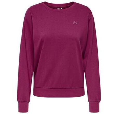 Sweater Only Sweat