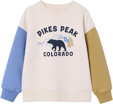 Vertbaudet Sweater voor jongens met ronde hals en lange mouwen