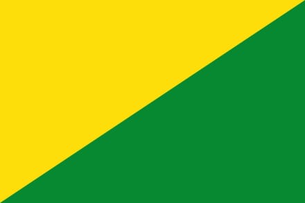Vlag La Bruyère 100x150cm