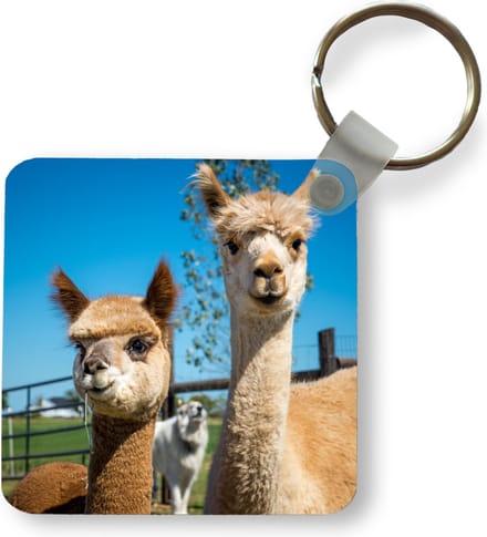 Sleutelhanger - Uitdeelcadeautjes - Alpaca - Planten - Lucht - Plastic