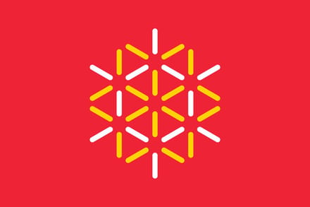 Vlag Languedoc 100x150cm