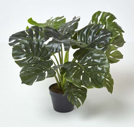 Homescapes Monstera kunstplant in pot - 60 cm