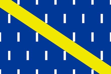 Vlag Charstre 150x225cm