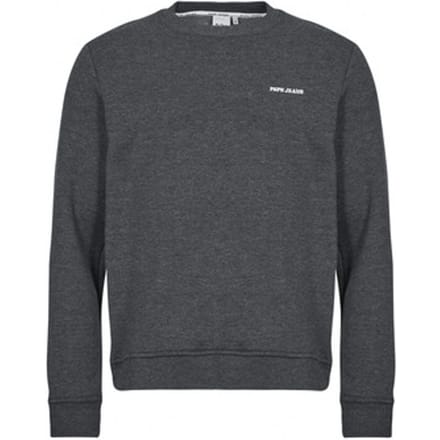 Pepe jeans  Sweaters DAMIAN CREW