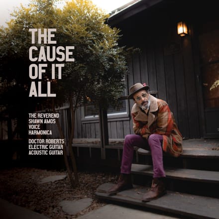 Shawn Amos - The Cause Of It All (CD)