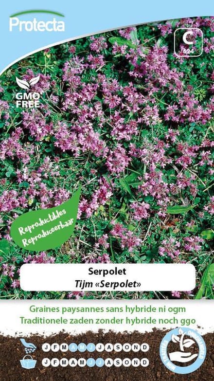 Protecta Kruiden zaden: Tijm Serpolet