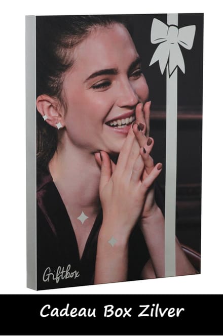 Schitterende Cadeau Box Zilver